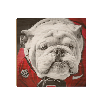 Georgia Bulldogs - Uga Close Up - College Wall Art #Wood