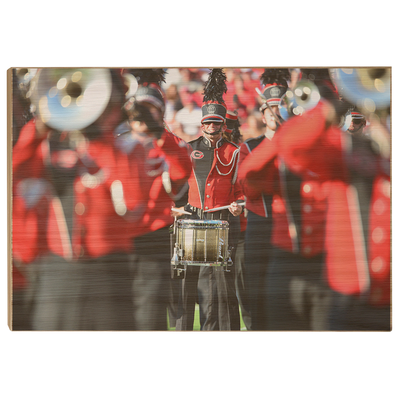 Georgia Bulldogs - Redcoat - College Wall Art #Wood