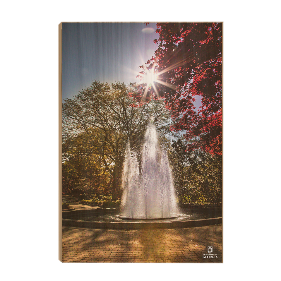 Georgia Bulldogs - The Fountain - College Wall Art #Canvas