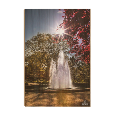 Georgia Bulldogs - The Fountain - College Wall Art #Wood