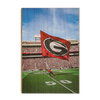 Georgia Bulldogs - The G Flag - College Wall Art #Wood