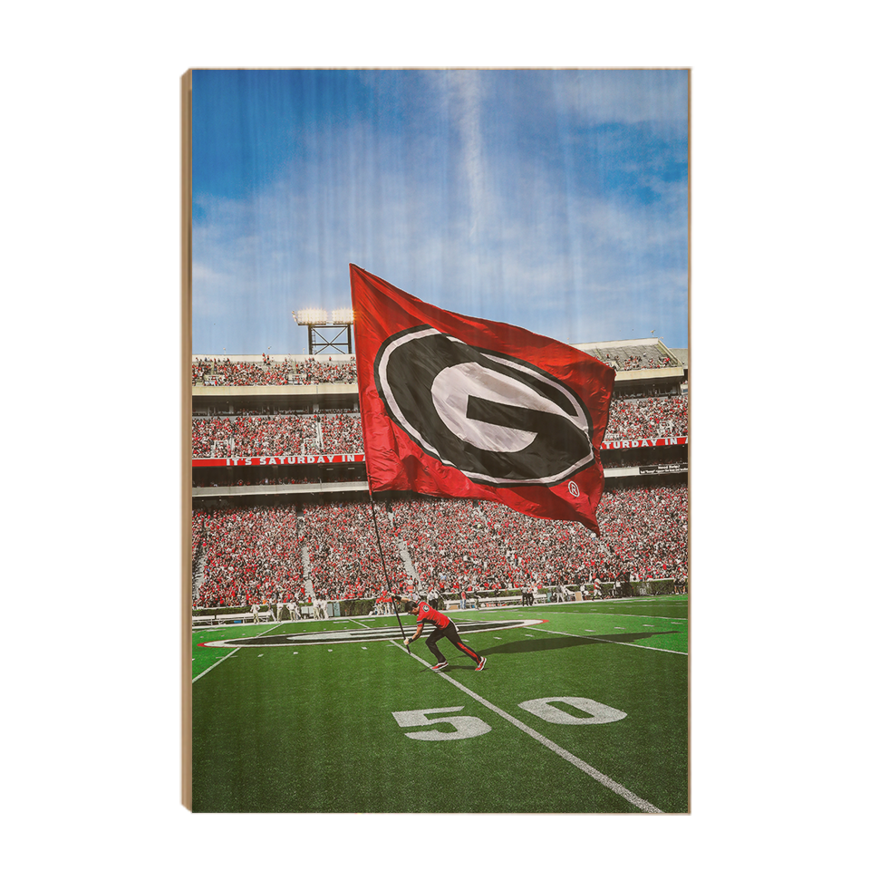 Georgia Bulldogs - The G Flag - College Wall Art #Canvas