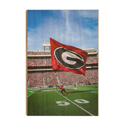 Georgia Bulldogs - The G Flag - College Wall Art #Wood