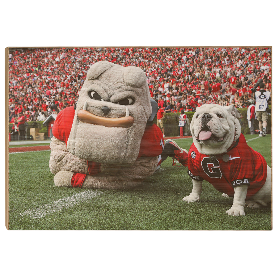 Georgia Bulldogs - Hairy and Uga Game Ready - College Wall Art #Canvas