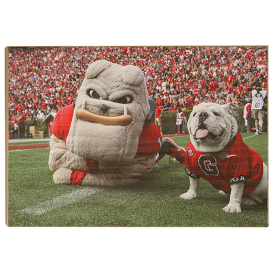 Georgia Bulldogs - Hairy and Uga Game Ready - College Wall Art #Wood