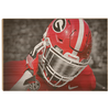 Georgia Bulldogs - Strap It Up UGA - College Wall Art #Wood