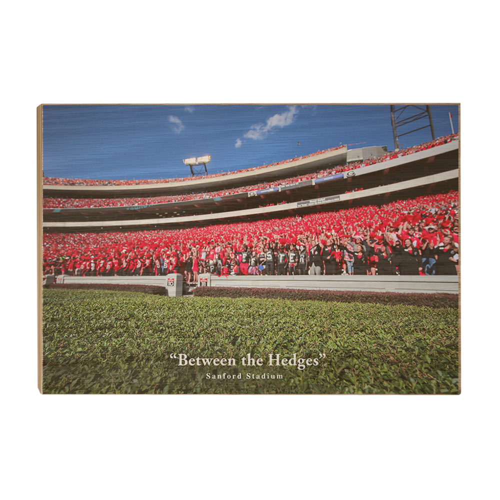 Georgia Bulldogs - Between the Hedges UGA - College Wall  Art #Canvas