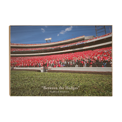 Georgia Bulldogs - Between the Hedges UGA - College Wall Art #Wood