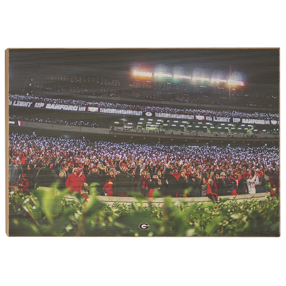 Georgia Bulldogs - Light Up Sanford - College Wall Art #Canvas