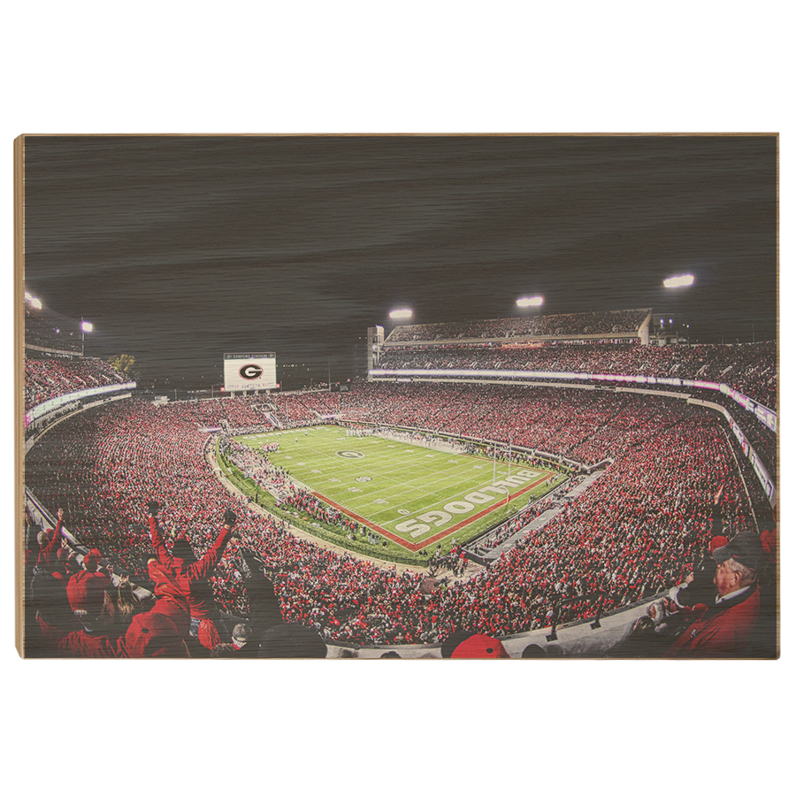 Georgia Bulldogs - Sanford Stadium II - College Wall Art #Canvas