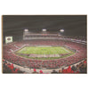 Georgia Bulldogs - Sanford Stadium 50 Yard Line - College Wall Art #Wood