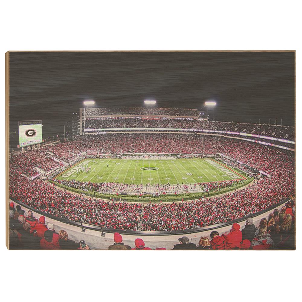 Georgia Bulldogs - Sanford Stadium 50 Yard Line - College Wall Art #Canvas