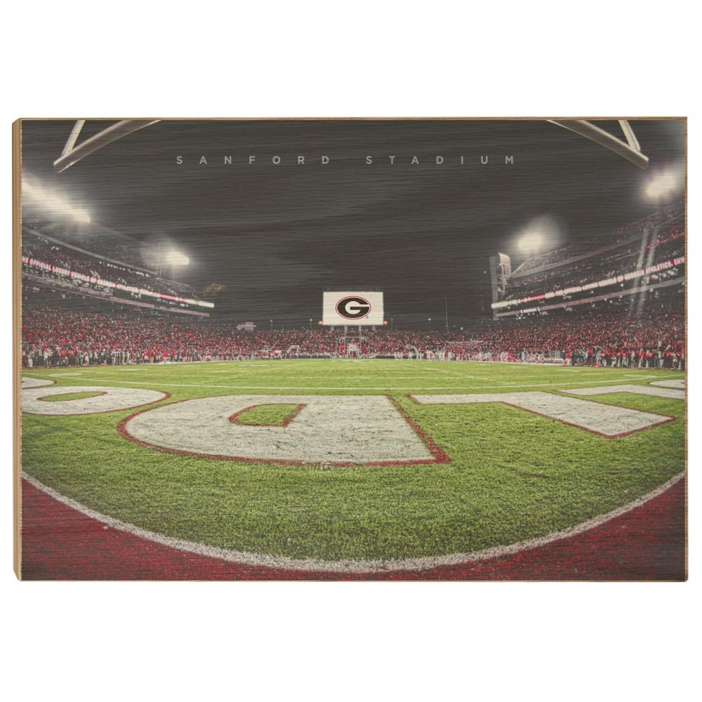 Georgia Bulldogs - Sanford Stadium End Zone - College Wall Art #Canvas