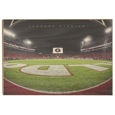 Georgia Bulldogs - Sanford Stadium End Zone - College Wall Art #Wood