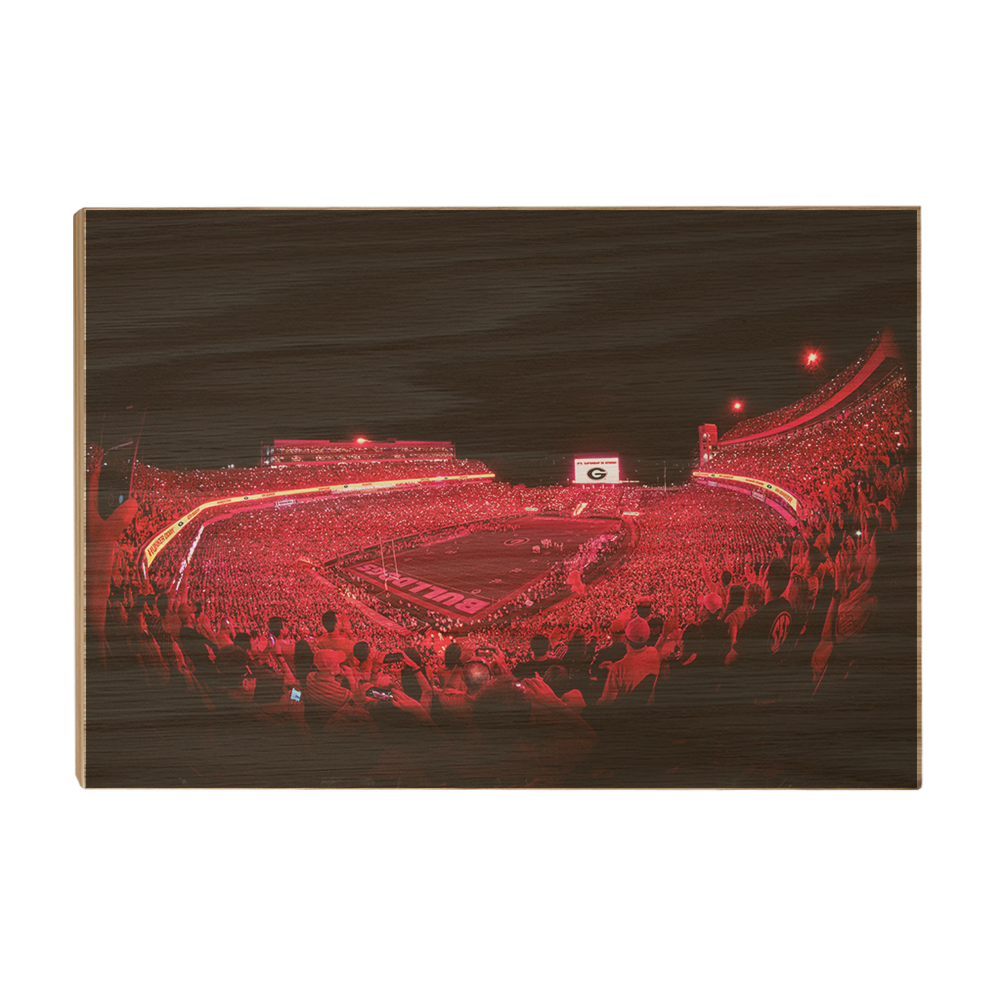 Georgia Bulldogs - Sanford Red Lights - College Wall Art #Canvas