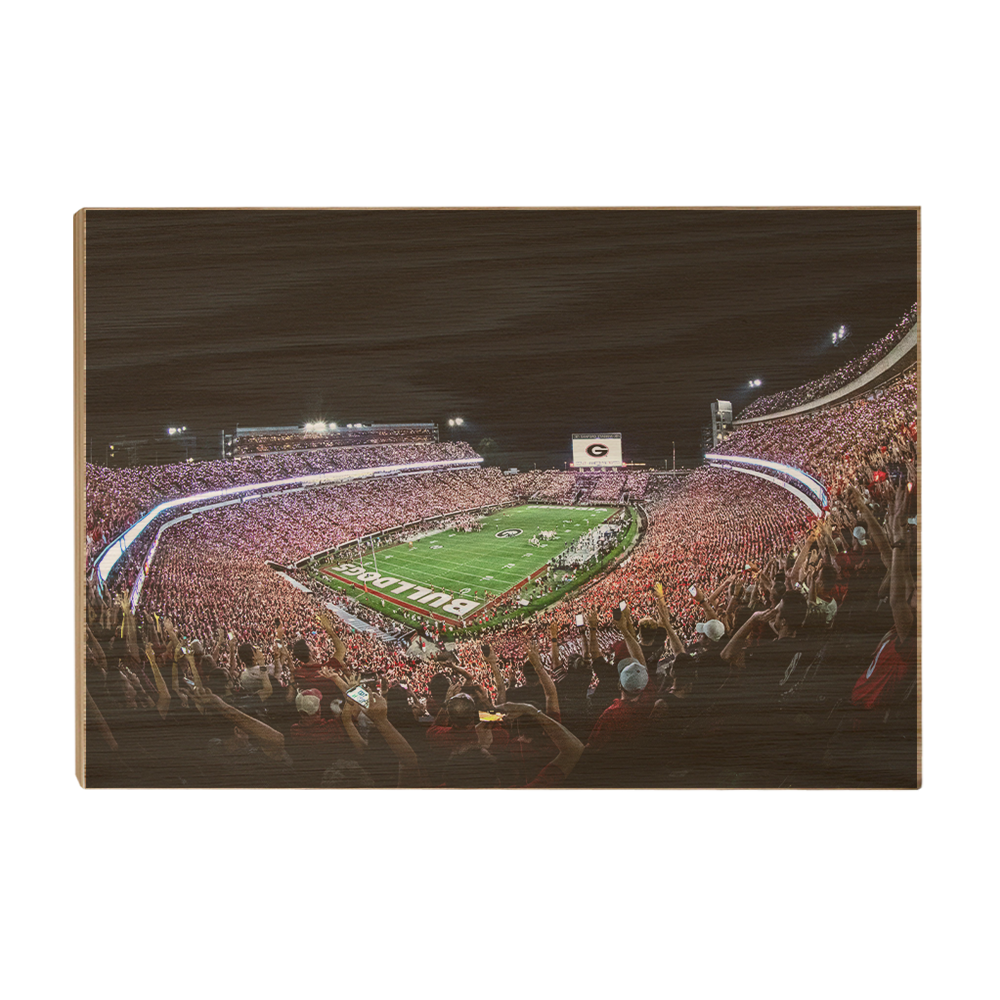 Georgia Bulldogs - Aerial Sanford Lights - College Wall Art #Canvas