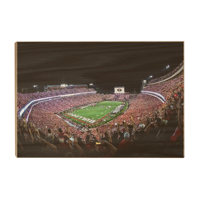 Georgia Bulldogs - Aerial Sanford Lights - College Wall Art #Wood