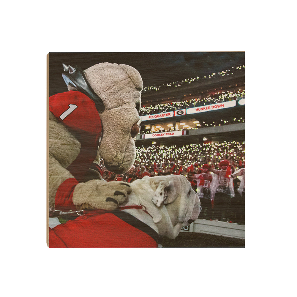 Georgia Bulldogs - It's 4th Quarter - College Wall Art #Canvas