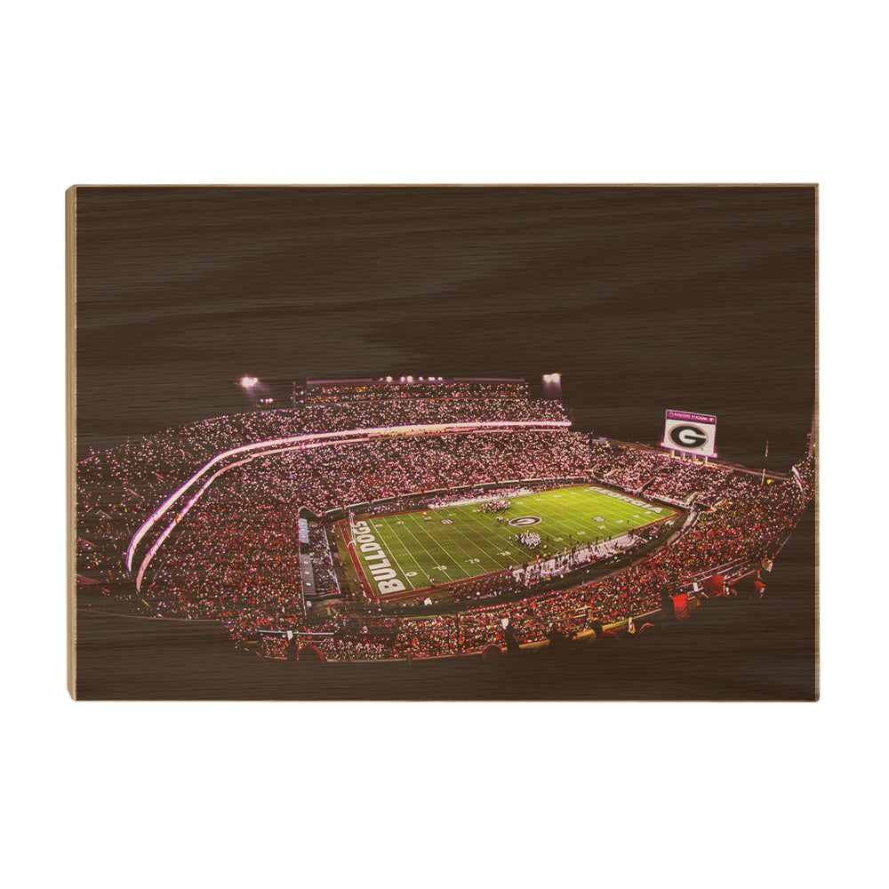 Georgia Bulldogs - Georgia Bulldogs Sanford Lights - College Wall Art #Canvas