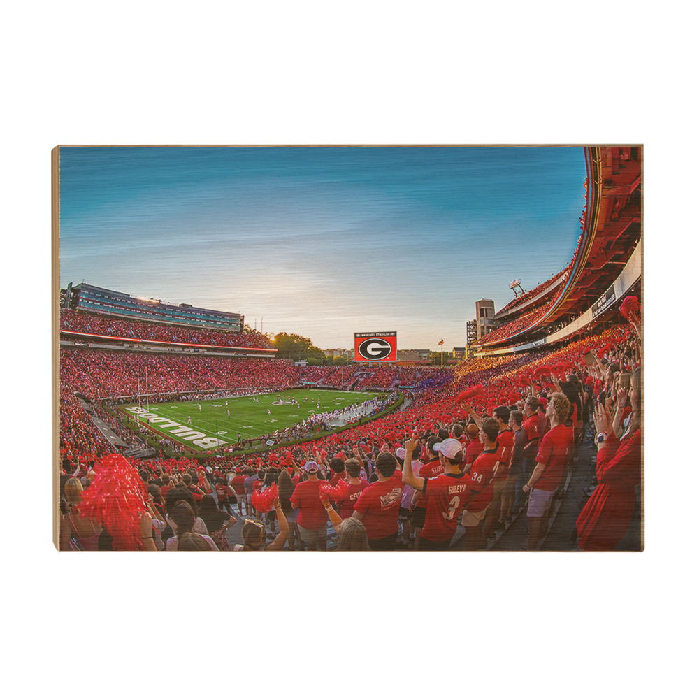 Georgia Bulldogs - Gooooo Georgia - College Wall Art #Canvas