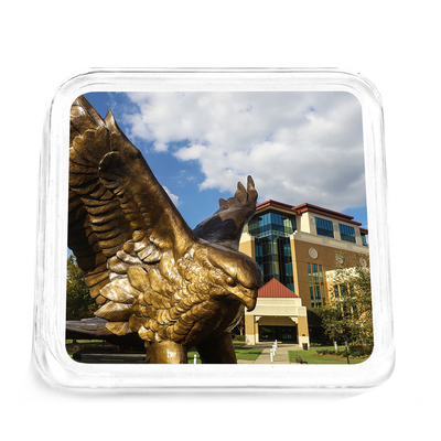 Louisiana Monroe Warhawks - Warhawk Statue Drink Coaster