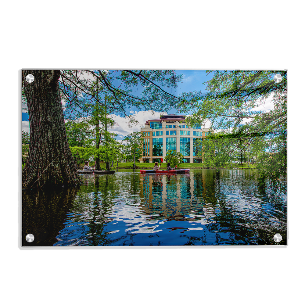 Louisiana Monroe Warhawks - The Bayou - College Wall Art #Canvas