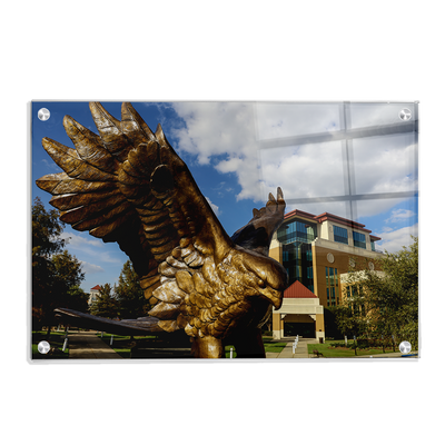 Louisiana Monroe Warhawks - Warhawk Statue - College Wall Art #Acrylic