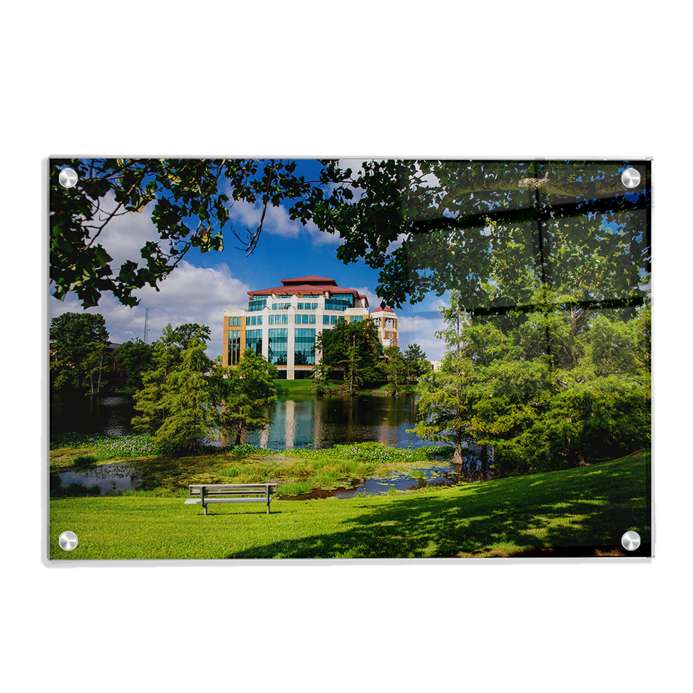 Louisiana Monroe Warhawks - Success Center - College Wall Art #Canvas