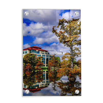 Louisiana Monroe Warhawks - Campus in the Clouds - College Wall Art #Acrylic