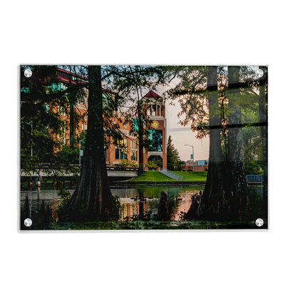 Louisiana Monroe Warhawks - Through the Bayou - College Wall Art #Acrylic