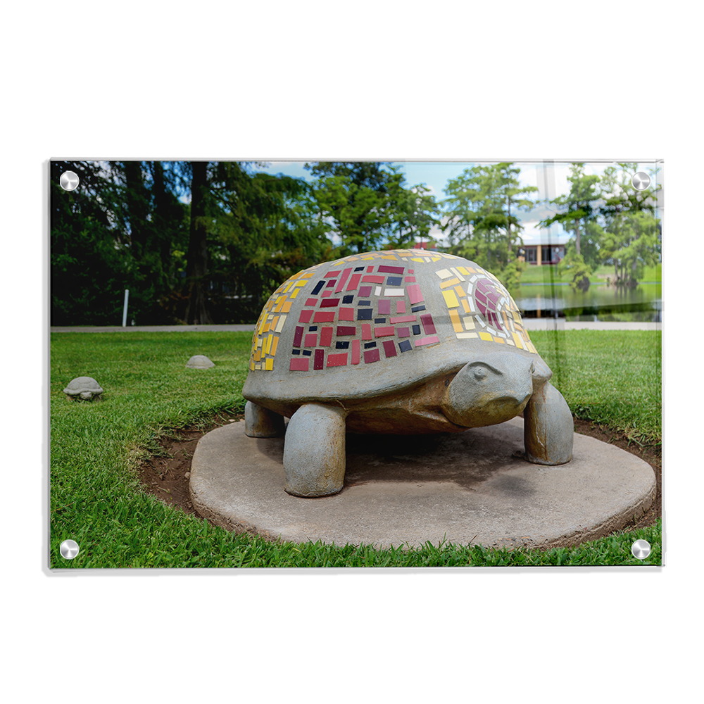 Louisiana Monroe Warhawks - Bayou Park - College Wall Art #Canvas