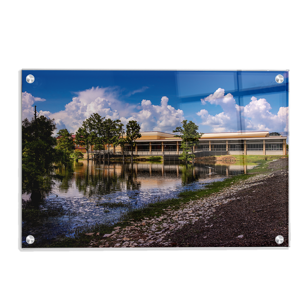 Louisiana Monroe Warhawks - Bayou Pointe - College Wall Art #Canvas