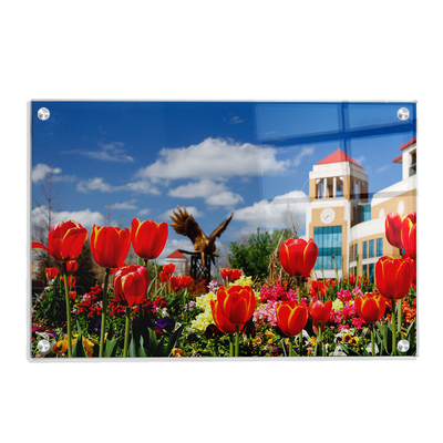 Louisiana Monroe Warhawks - ULM Tulips - College Wall Art #Acrylic