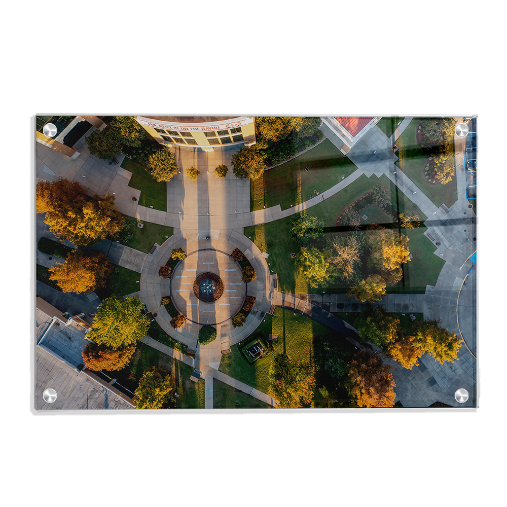 Louisiana Monroe Warhawks - The Best is on the Bayou - College wall Art #Canvas