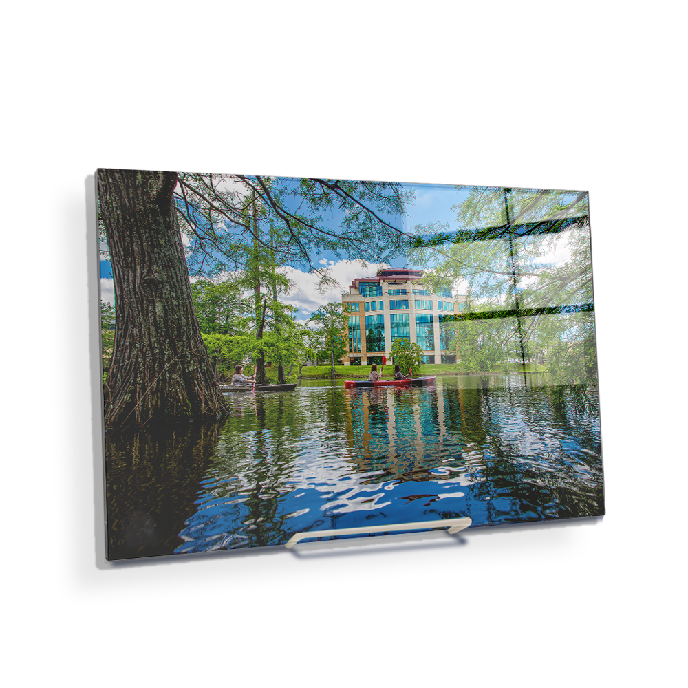 Louisiana Monroe Warhawks - The Bayou - College Wall Art #Canvas