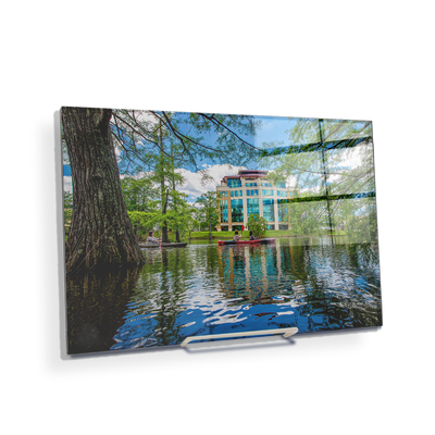 Louisiana Monroe Warhawks - The Bayou - College Wall Art #Acrylic Mini