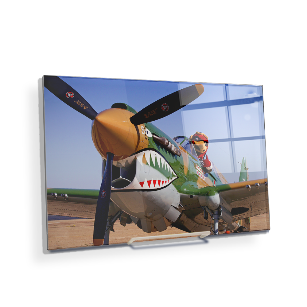 Louisiana Monroe Warhawks - Curtiss P 40 - College Wall Art #Canvas