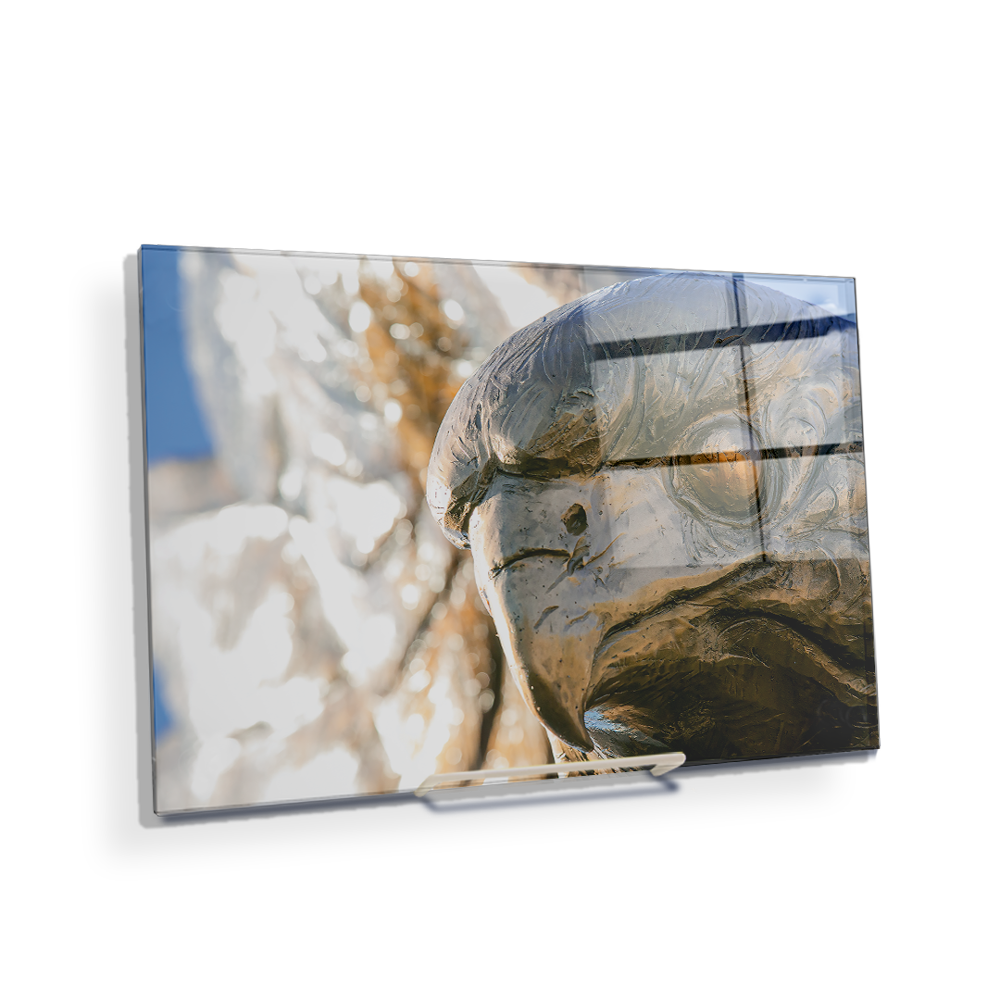 Louisiana Monroe Warhawks - Warhawk - College Wall Art #Canvas