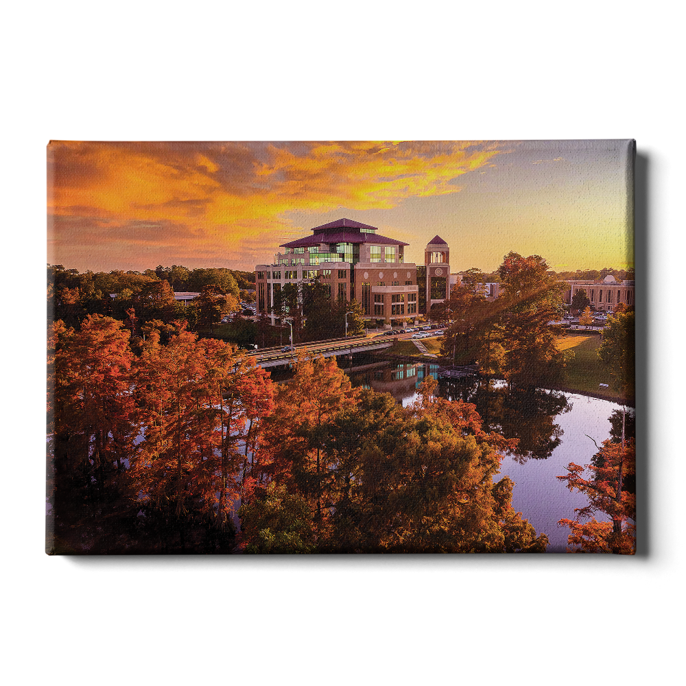 Louisiana Monroe Warhawks - Fall Bayou from Above - College Wall Art #Canvas
