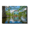 Louisiana Monroe Warhawks - The Bayou - College Wall Art #Canvas