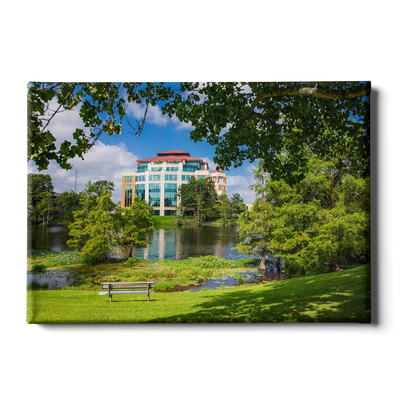 Louisiana Monroe Warhawks - Success Center - College Wall Art #Canvas