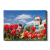 Louisiana Monroe Warhawks - ULM Tulips - College Wall Art #Canvas