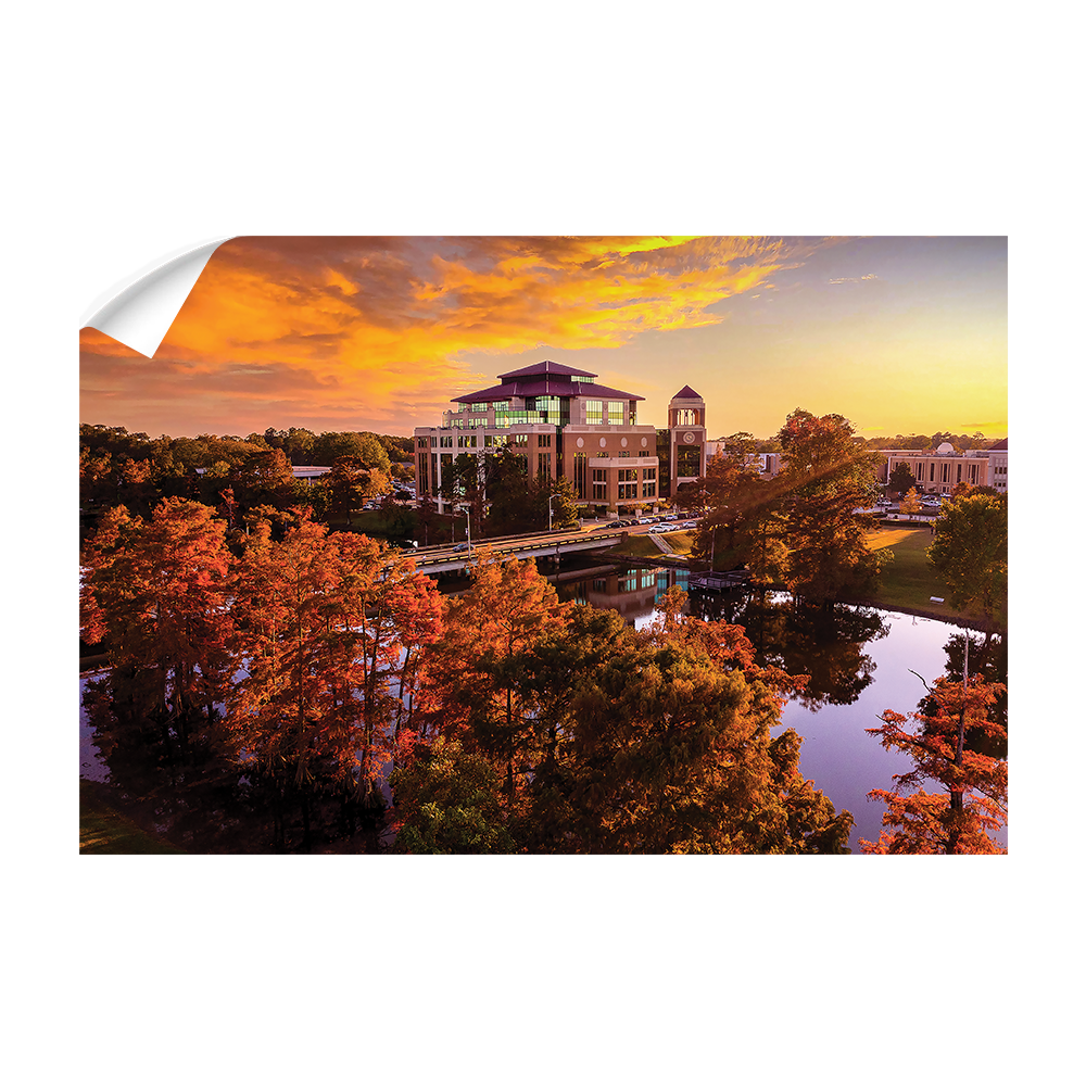 Louisiana Monroe Warhawks - Fall Bayou from Above - College Wall Art #Canvas