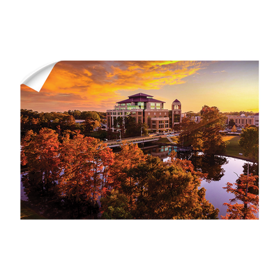 Louisiana Monroe Warhawks - Fall Bayou from Above - College Wall Art #Wall Decal