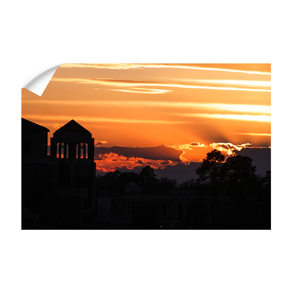 Louisiana Monroe Warhawks - Sunset - College Wall Art #Canvas