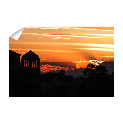 Louisiana Monroe Warhawks - Sunset - College Wall Art #Wall Decal