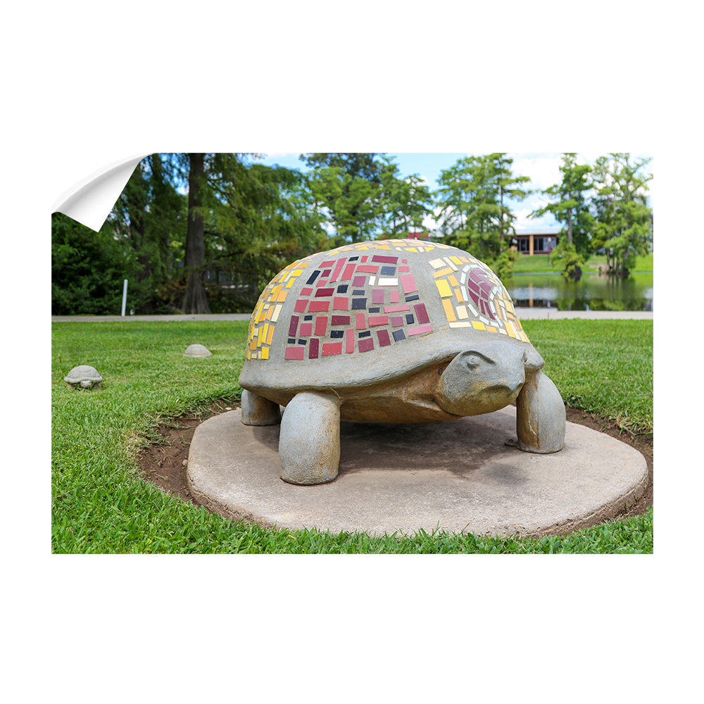 Louisiana Monroe Warhawks - Bayou Park - College Wall Art #Canvas