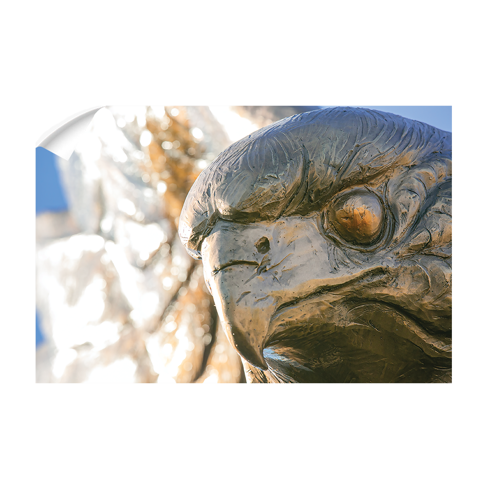 Louisiana Monroe Warhawks - Warhawk - College Wall Art #Canvas