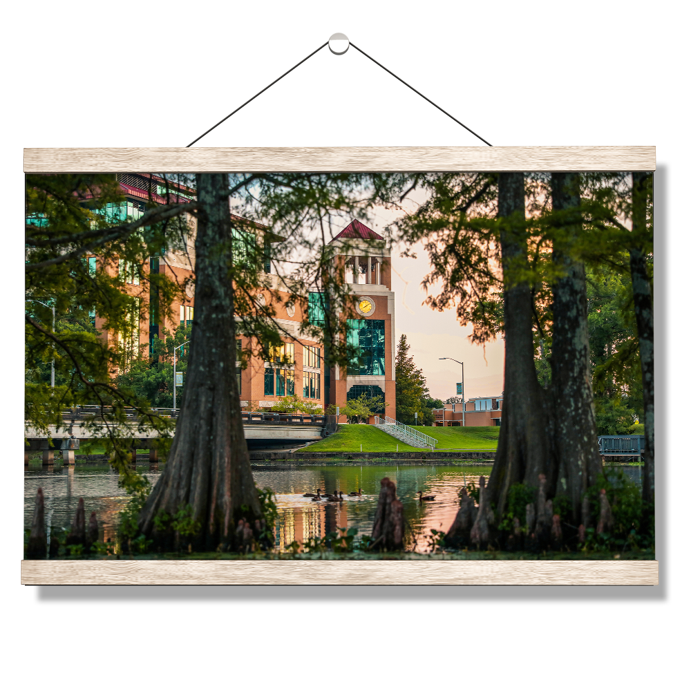 Louisiana Monroe Warhawks - Through the Bayou - College Wall Art #Canvas