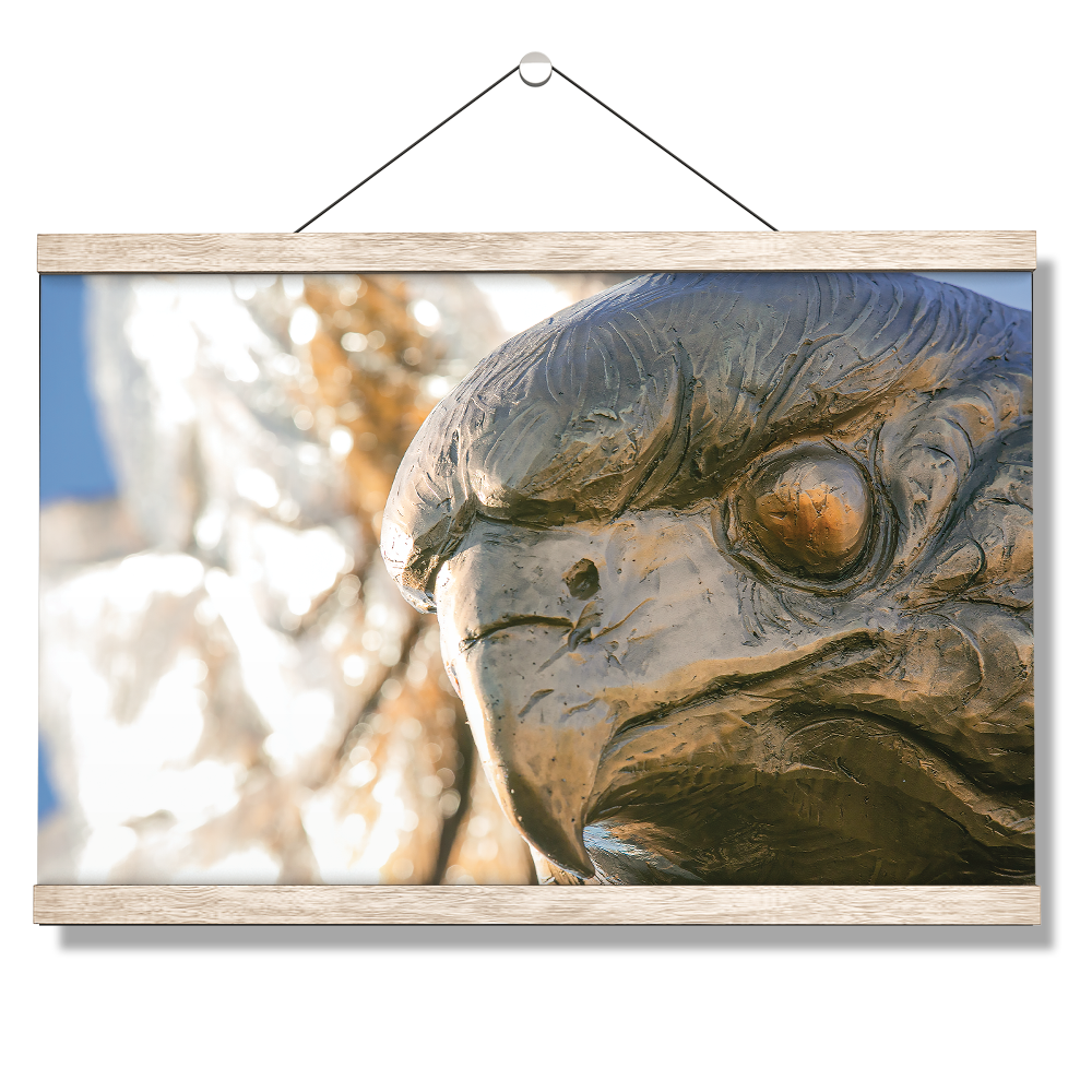 Louisiana Monroe Warhawks - Warhawk - College Wall Art #Canvas